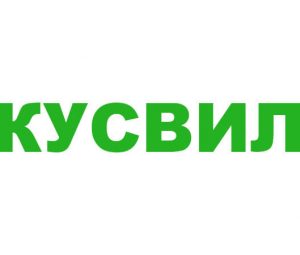 Промокод ВкусВилл на первый заказ в приложении и бесплатную доставку: сентябрь — октябрь 2023